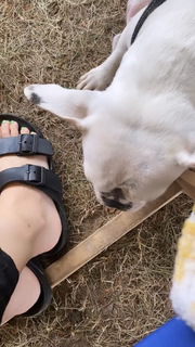 Gwen van Poorten feet photo 5