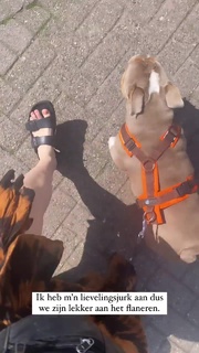 Gwen van Poorten feet photo 7