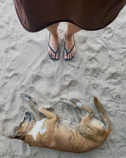 Gwen van Poorten feet photo 1