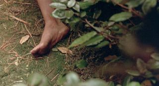 Gwyneth Paltrow feet photo 7