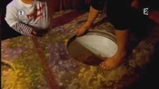 Gyselle Soares feet photo 2