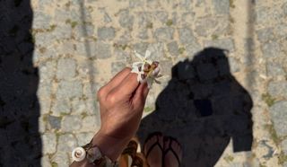 Gözde Demiral feet photo 6