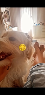 Gülben Ergen feet photo thumbnail