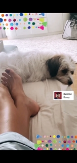 Gülben Ergen feet photo thumbnail