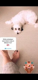 Gülben Ergen feet photo thumbnail