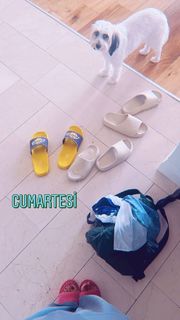 Gülben Ergen feet photo thumbnail