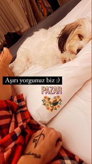 Gülben Ergen feet photo thumbnail
