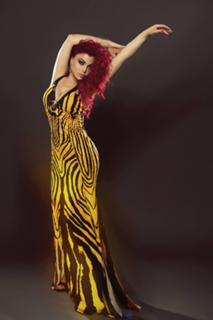 Haifa Wehbe feet photo thumbnail