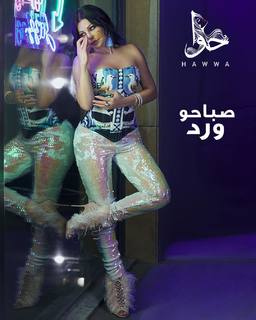 Haifa Wehbe feet photo thumbnail