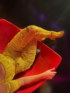 Haifa Wehbe feet photo thumbnail