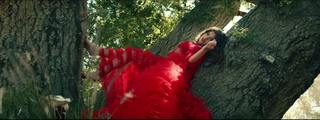 Hailee Steinfeld feet photo thumbnail