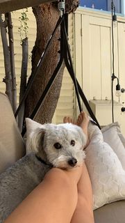 Hailey Sani feet photo 9