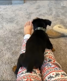 Hailie Deegan feet photo thumbnail