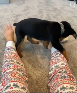 Hailie Deegan feet photo thumbnail