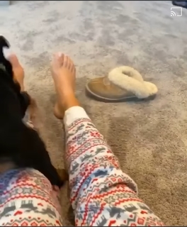 Hailie Deegan feet photo thumbnail