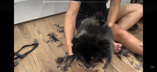 Hailie Deegan feet photo thumbnail