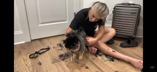 Hailie Deegan feet photo thumbnail