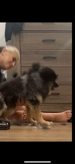 Hailie Deegan feet photo thumbnail