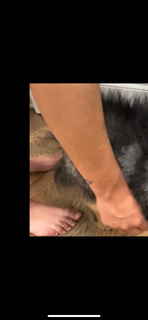 Hailie Deegan feet photo thumbnail