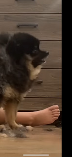 Hailie Deegan feet photo thumbnail