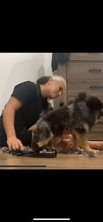 Hailie Deegan feet photo thumbnail