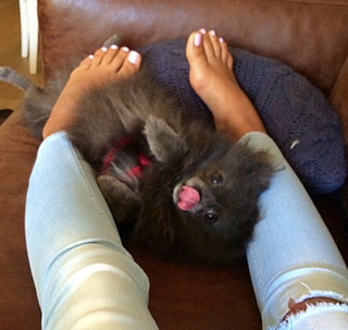 Hala Abdallah feet photo 6