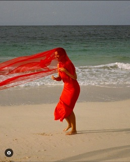 Hala Abdallah feet photo 8