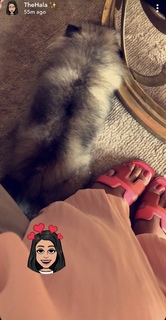 Hala Abdallah feet photo 7
