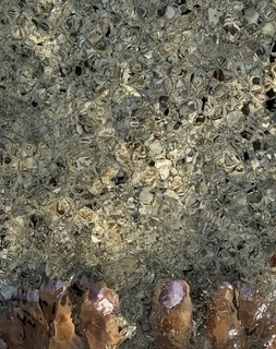 Hala Abdallah feet photo 11