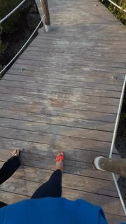 Hala Abdallah feet photo 16