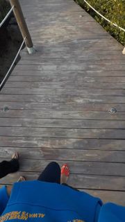 Hala Abdallah feet photo 15