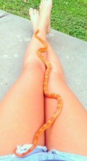 Haleigh Broucher feet photo 6