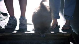 Haley Bennett feet photo thumbnail