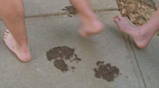 Haley Bennett feet photo thumbnail