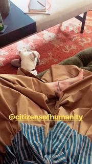 Haley Bennett feet photo thumbnail