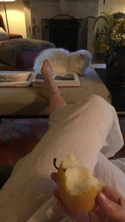 Haley Bennett feet photo thumbnail