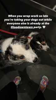 Haley Kalil feet photo thumbnail