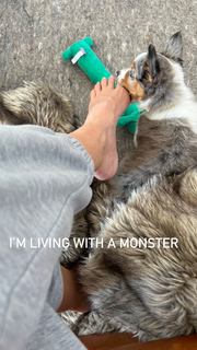 Haley Kalil feet photo thumbnail