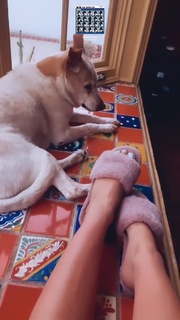 Haley Reinhart feet photo thumbnail