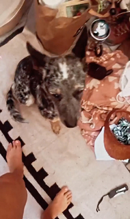 Haley Reinhart feet photo thumbnail