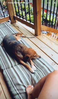 Haley Reinhart feet photo thumbnail