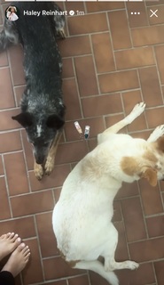 Haley Reinhart feet photo thumbnail