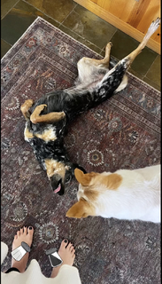 Haley Reinhart feet photo thumbnail