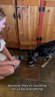 Haley Reinhart feet photo 9