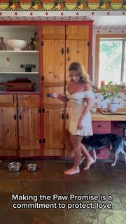 Haley Reinhart feet photo 3