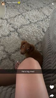 Haliey Welch feet photo thumbnail