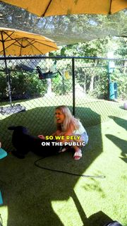 Haliey Welch feet photo thumbnail