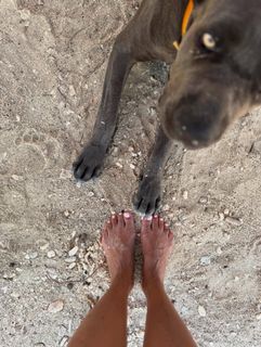 Halle Berry feet photo thumbnail