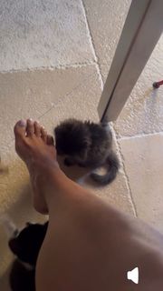 Halle Berry feet photo thumbnail