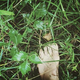 Hallee Hirsh feet photo 9